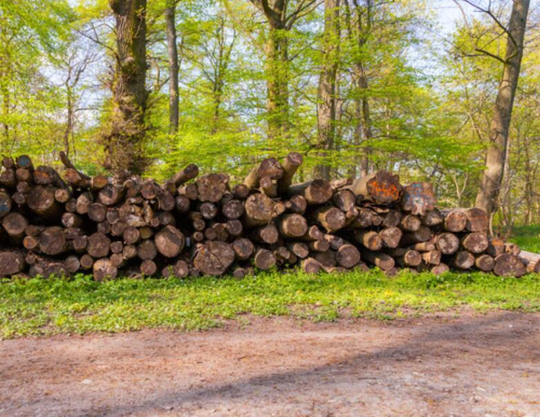 生物(wù)質顆粒行(xíng)業(yè)青睐