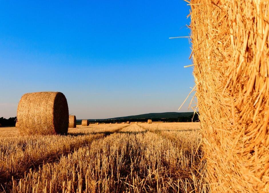 生物(wù)質稭稈壓塊燃料的(de)特點曝光(guāng)，這幾年的(de)鍋爐真白燒了！
