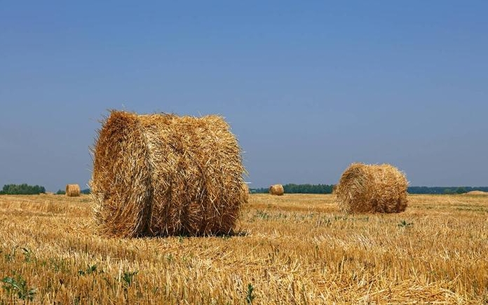 提高(gāo)能(néng)源利用(yòng)效率：稭稈轉化成生物(wù)質顆粒燃料的(de)新途徑