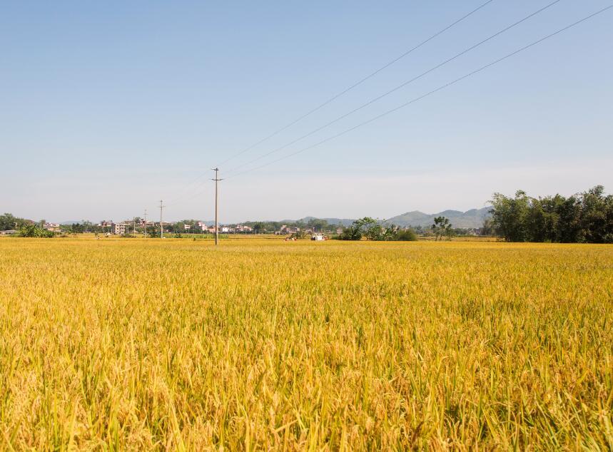 發展生物(wù)質顆粒燃料是必然趨勢