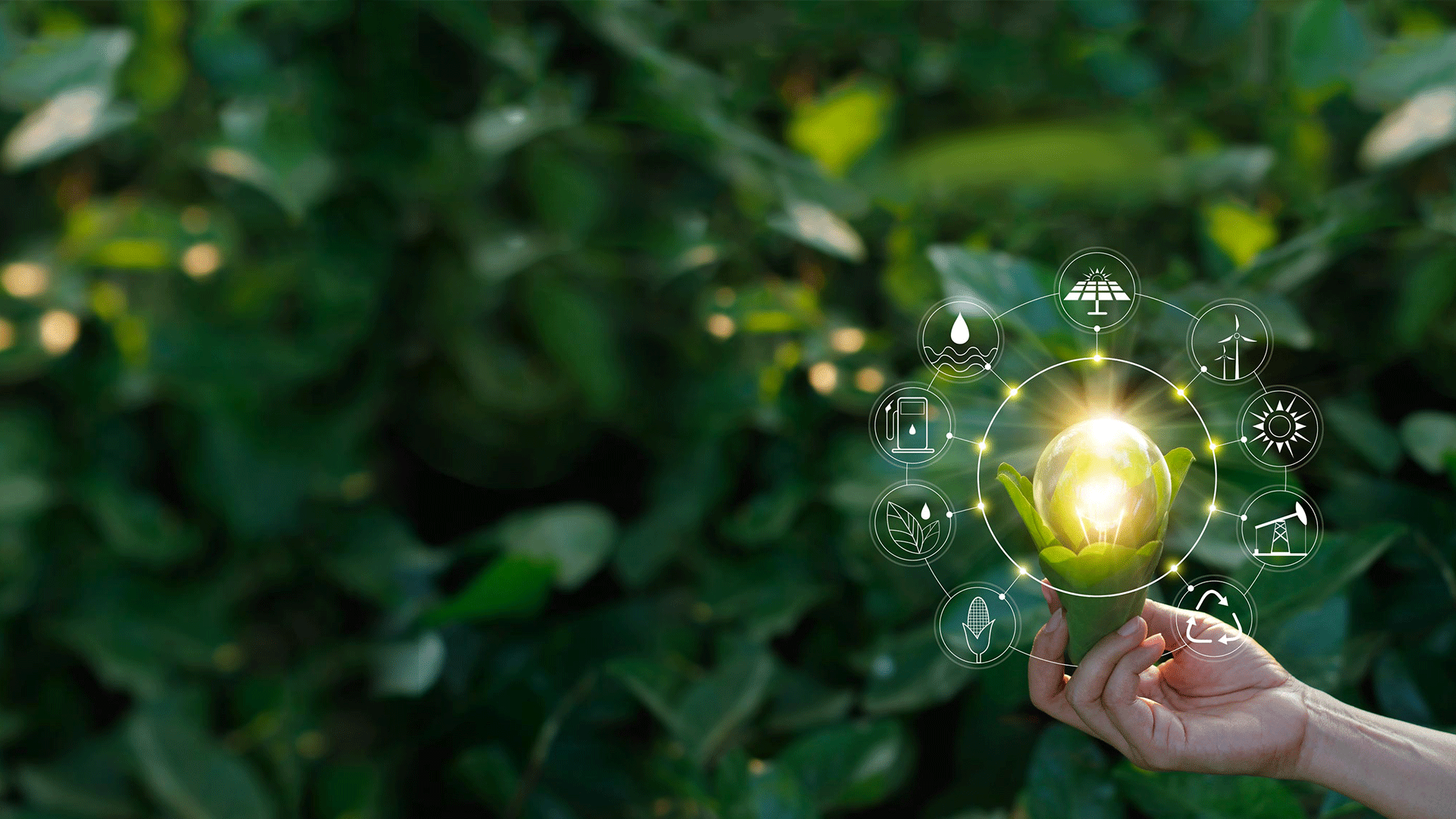 綠(lǜ)色、生态、循環發展